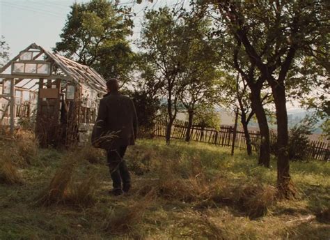 napoleon torrentz|The Official Home of YIFY Movies Torrent Download .
